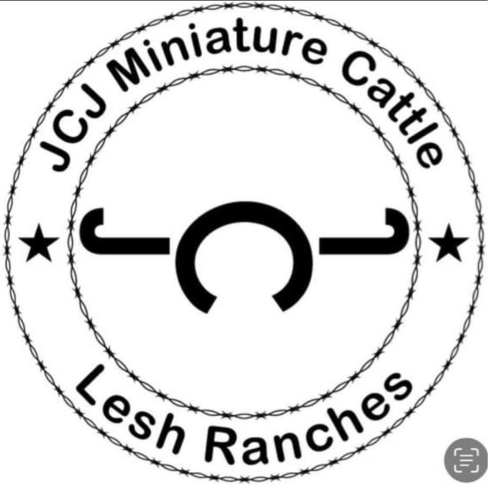 JCJ Miniature Cattle